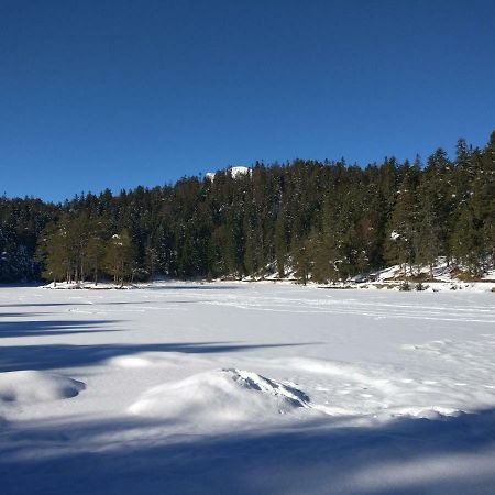 Haus Senn Apartman Seefeld in Tirol Kültér fotó