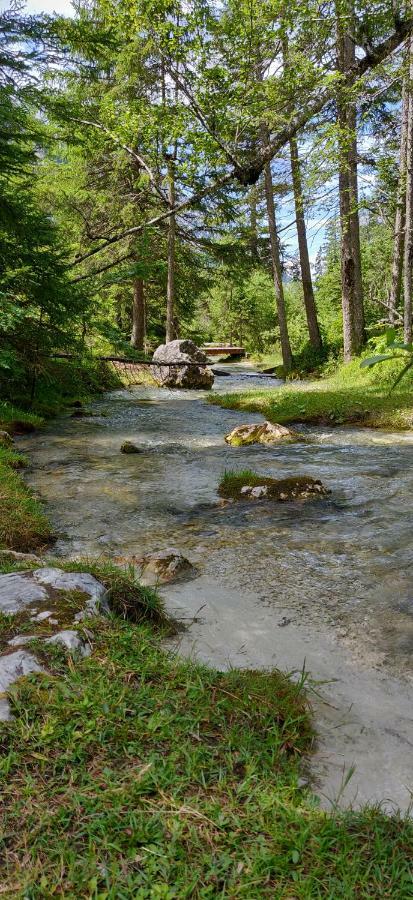 Haus Senn Apartman Seefeld in Tirol Kültér fotó